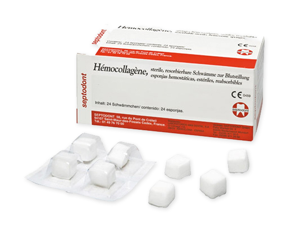 Hemocollagene 24u Septodont