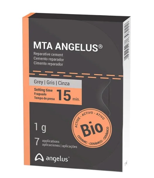 Cemento MTA Angelus Gris 1g