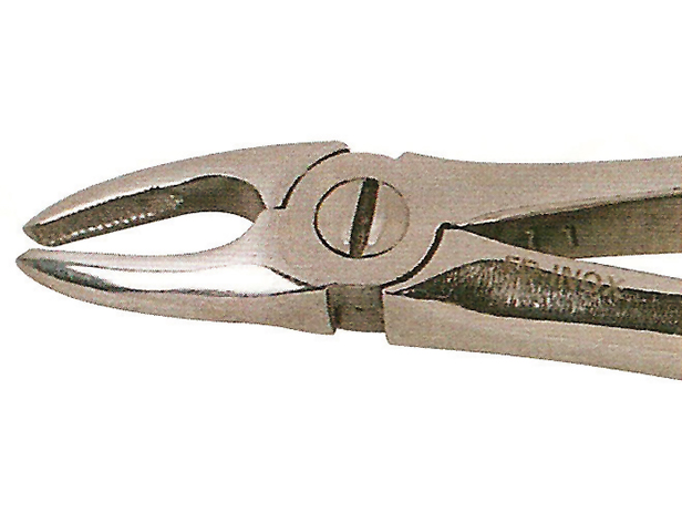 Forceps dental Nº.7 Premolar superior