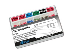 GuttaPercha 04 0.6 MTWO 60u